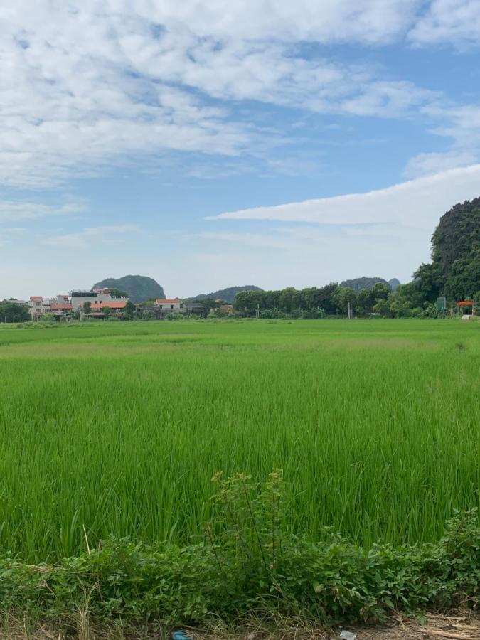 Tam Coc Wonderland Bungalow 宁平 外观 照片