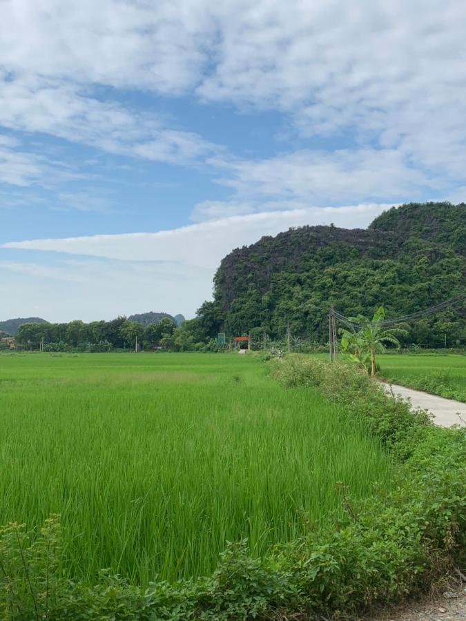 Tam Coc Wonderland Bungalow 宁平 外观 照片