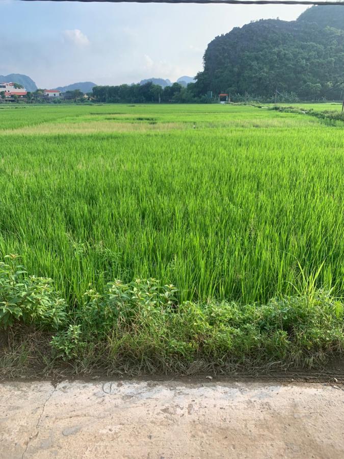 Tam Coc Wonderland Bungalow 宁平 外观 照片