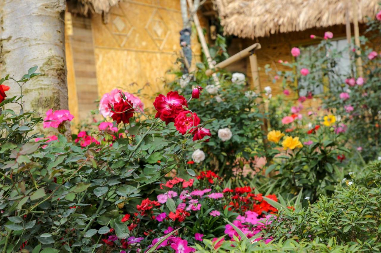 Tam Coc Wonderland Bungalow 宁平 外观 照片